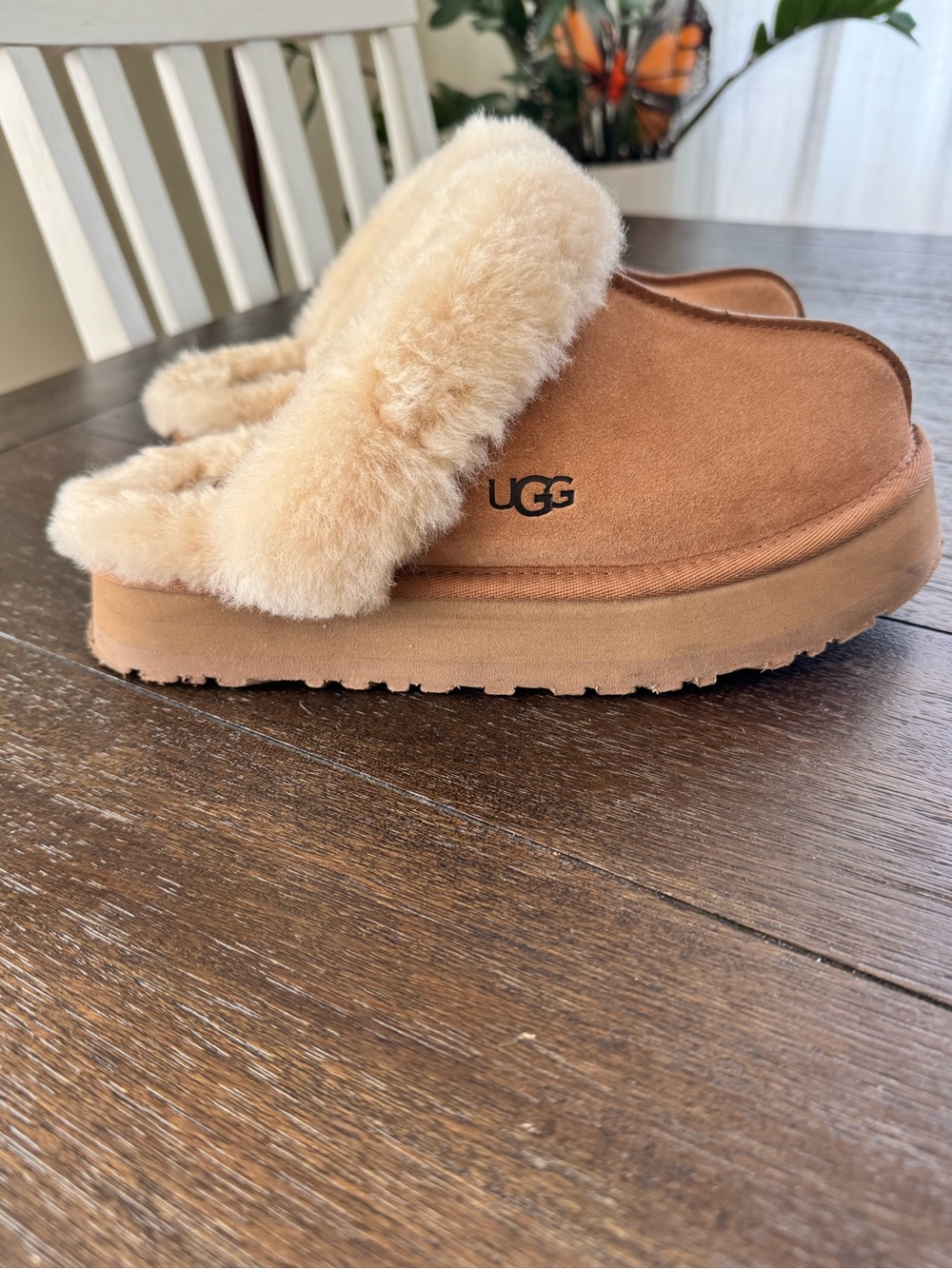 UGG Disquette 7